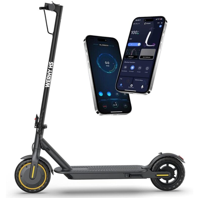 electric scooter WERHY H5