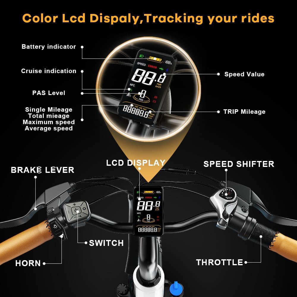 Euybike CityRang 2.0 electric bike LCD display